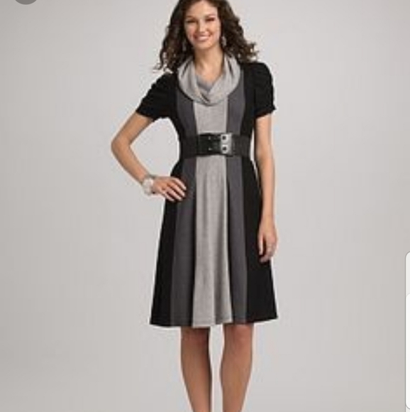 dressbarn Dresses & Skirts - DRESSBARN TURTLENECK DRESS